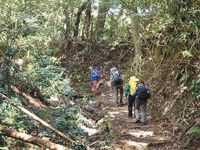 Iさんが撮影した緩やかな登山道を登っている写真