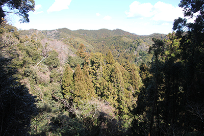 烏場山方面の写真