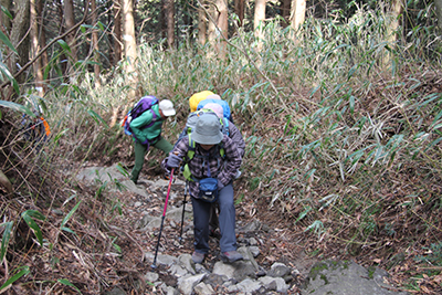 乙女峠バス停から乙女峠への登山道を登っている写真