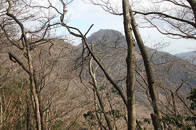 金時山山頂の写真