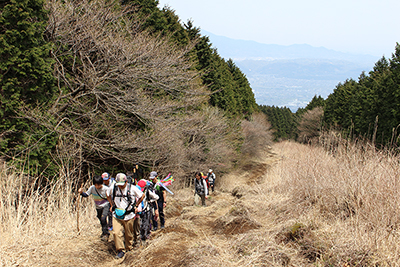 防火帯の登山道を登っている写真