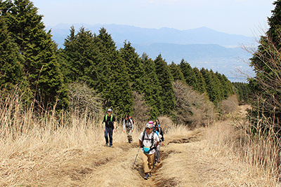 丹沢の山々を背に防火帯を登っている写真