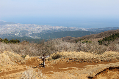 小田原の町と相模湾の写真