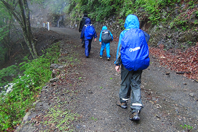 後山林道を歩いている写真
