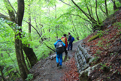 林道から沢沿いの登山道を登っている写真