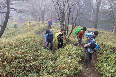 徐々に傾斜を増す登山道を登っている写真