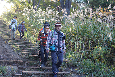 城山から木の階段を下っている写真