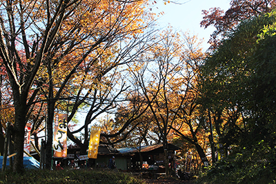 「おでん」などののぼりが立つ城山山頂の写真