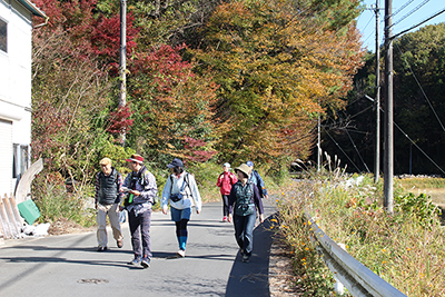 紅葉している木の脇を歩いている写真