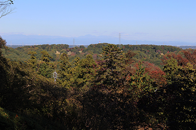 物見山山頂から見えた日光方面の山々の写真