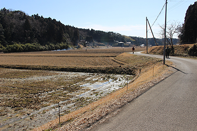たんぼの広がる道を歩いている写真