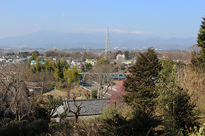 伝説の丘付近から見た丹沢山地の写真