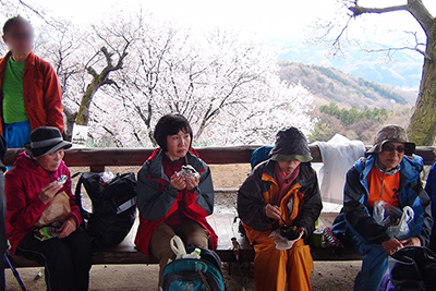 山頂の東屋で昼食中の女性4人の写真