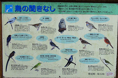 野鳥の聞きなし説明板の写真