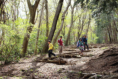 柔らかな緑の中で登山道をジグザグに下っている写真