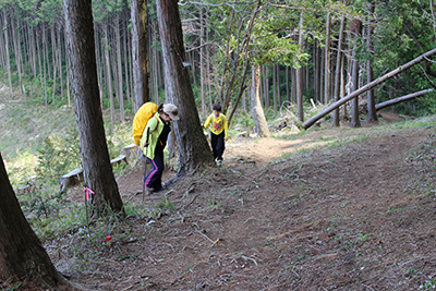 伐採地横の登山道を登るＫさんとＹ君の写真