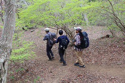 吾国山から下山している写真