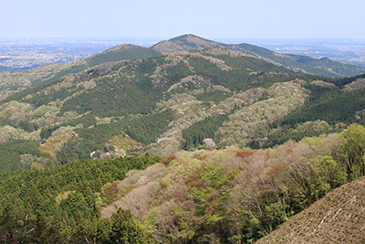 植林帯と雑木林の模様が美しい愛宕山の写真