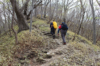 細尾峠から登山道を登っている写真