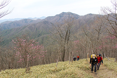 周囲が開けて、半月山と皇海山が見える尾根を登っている写真