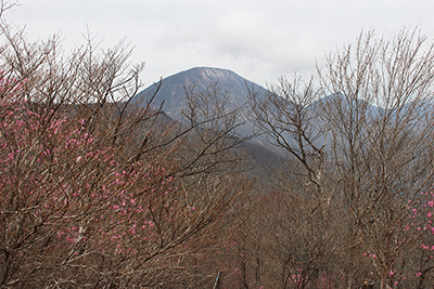 薬師岳から見たアカヤシオと男体山の写真