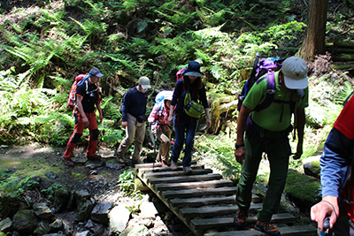 登山道の橋を渡っている写真
