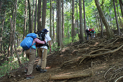 惣岳山に向けて最後の登りをがんばっている写真