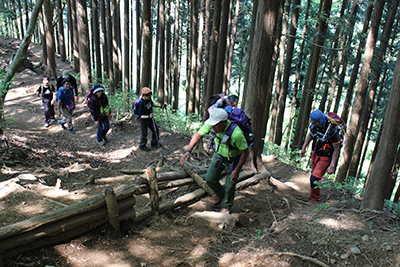 惣岳山山頂までもう少しのところを登っている写真