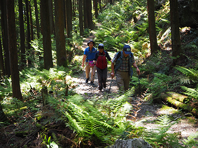 Iさんが撮影した暑い山道を登っている写真