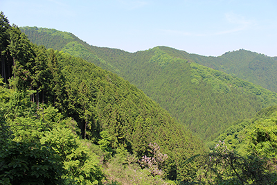高水山と岩茸石山の写真