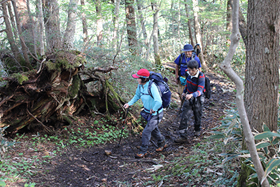 傾斜の落ちた登山道を歩いている写真
