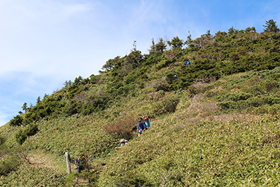 視界が開けた堂岩山から下っている写真