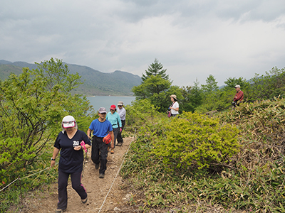Iさんが撮影したシラネアオイ群生地から登山道に戻っている写真