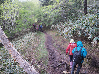 Iさんが撮影した野反湖からの登山道を白砂山に向けて登り始めた写真