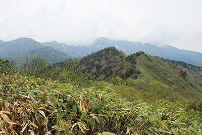 八間山山頂から見た白砂山方面の写真