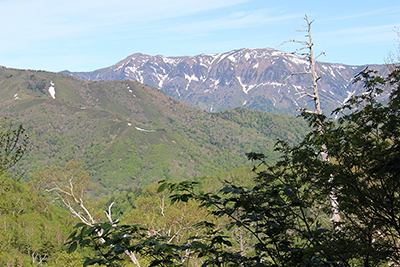 岩菅山と裏岩菅山の写真
