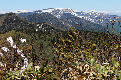 山頂から見た苗場山の写真
