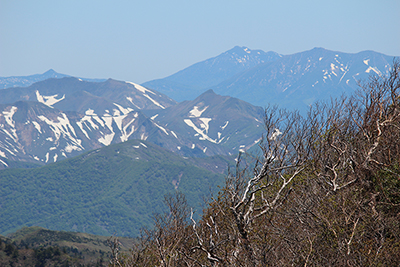 至仏山・燧ヶ岳・川棚の頭・谷川岳・景鶴山の写真