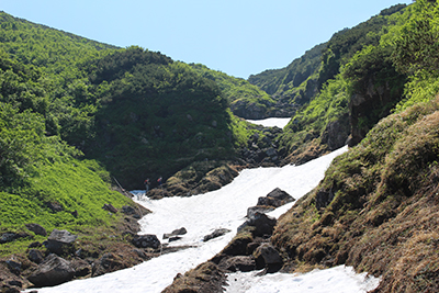 大沢の雪渓の上の岩場を登っている人たちの写真