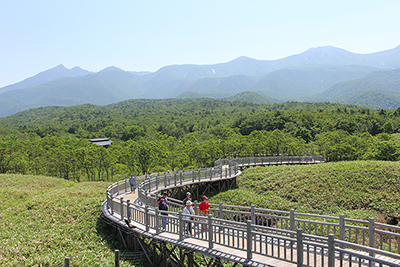 硫黄岳方面の山々と木道を歩いているメンバーの写真