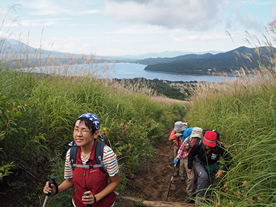 カヤトに覆われた山道を登っている写真
