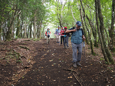 広い歩きやすい山道を歩いている写真