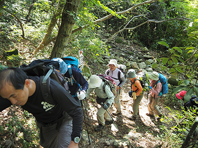 Iさんが撮影した五合目から始まる登山道を登り始めた写真