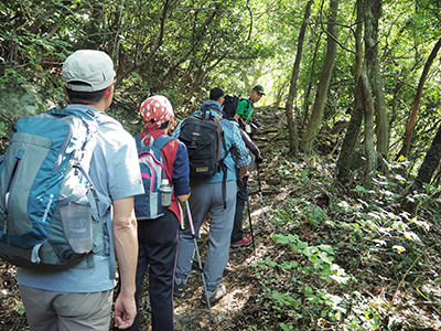 Iさんが撮影した木漏れ日の登山道を登っている写真