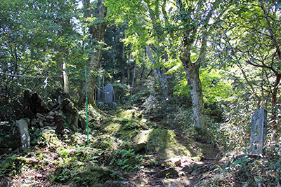 中宮御拝殿から上の登山道の写真