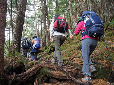 Iさんが撮影した木の根の多い登山道を登っている写真
