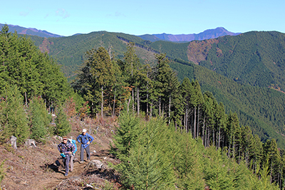 右奥の大岳山を背に登っている写真