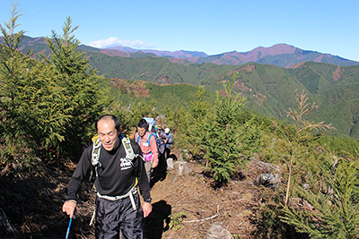 御前山と鷹ノ巣山の見える尾根を登る。