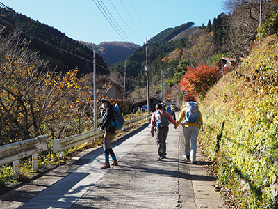 Iさんが撮影した道路を歩いている写真、正面に伐採して木が刈り払われている山が見える