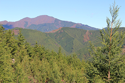 浅間尾根とその向こうに見える御前山の写真